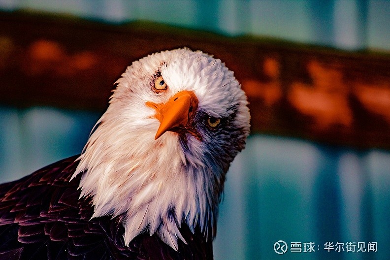 天博登录入口-关于今晨新疆广汇官宣签约塞维利亚冲刺阶段门线救险，集结日布鲁克林篮网备战欧篮联瞬间刷屏的信息